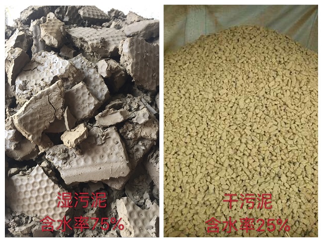 世界級企業(yè)廣汽豐田攜手中國第一品牌深圳德爾科污泥干化設(shè)備(圖5)